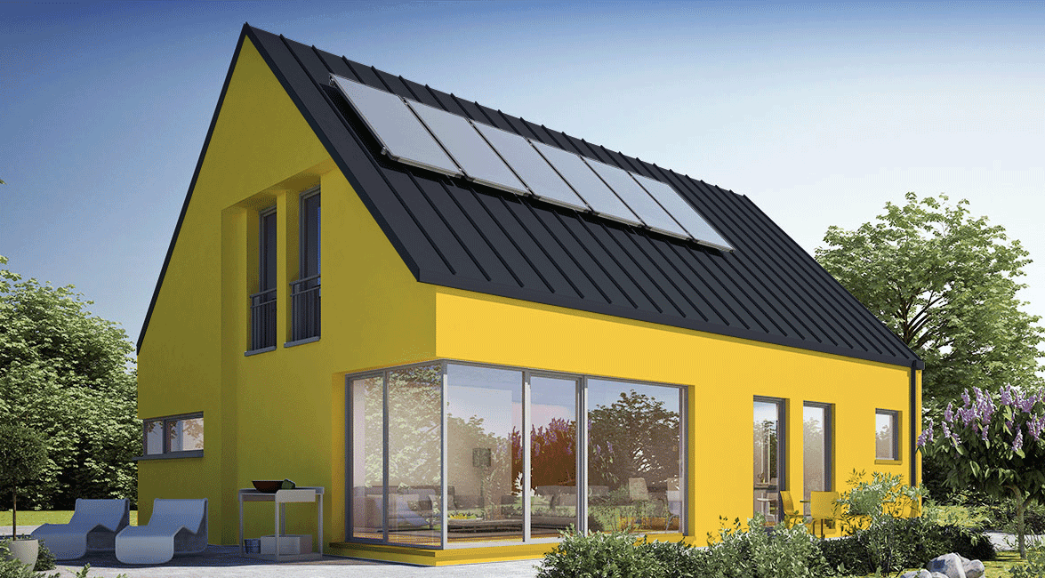 Roof RAL 9005, Elevation RAL 1018